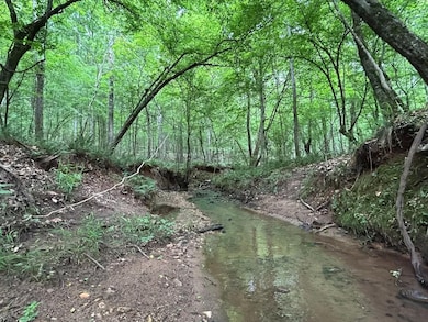 Ga Hwy 142, Shady Dale, GA 31064 - photo 2