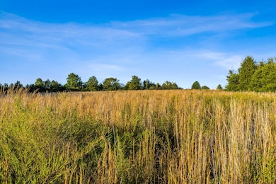 000 County Road 1044, Auxvasse, MO 65231 - photo 6