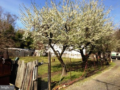 6804 Clover Ln, Upper Darby, PA 19082 - photo 5