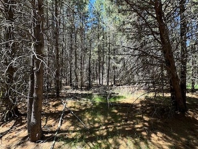 0 Nfd 440 Rd unit 220184517, Chiloquin, OR 97624 - photo 6