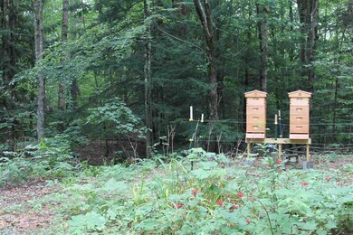 68 Evergreen Cir, Henniker, NH 03242 - photo 6