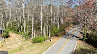 Spring Forest Way Lot: 2-1, Sharpsburg, GA 30277 - photo 7