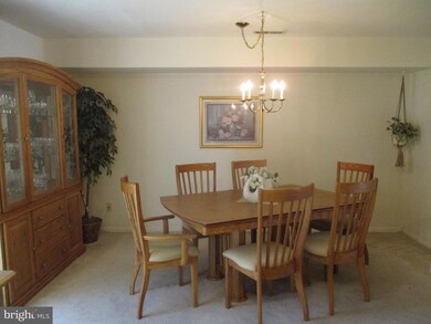 33 Village Ct, Audubon, NJ 08106 - photo 7