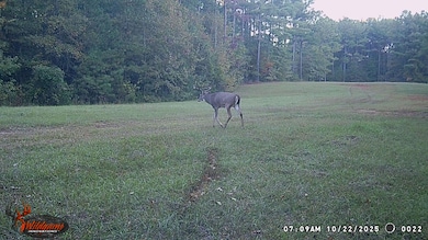 5 Points Rd, Gray, GA 31032 - photo 2