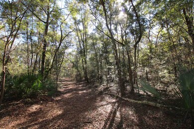 xx Simmie Dr, Crawfordville, FL 32327 - photo 2