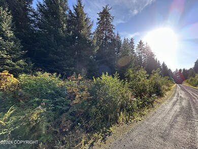 Road frontage