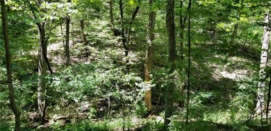 0 Valley View, Eureka Springs, AR 72632 - photo 7