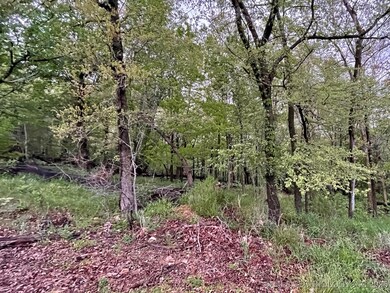 1229 Pheasant Run Rd, Kansas, OK 74347 - photo 5