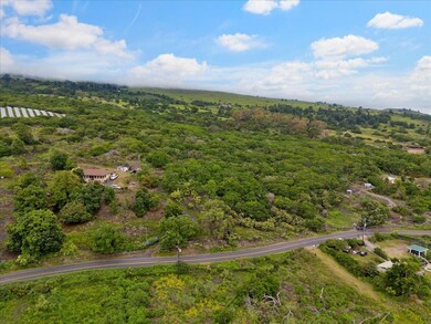 0 Kula Hwy unit 404406, Kula, HI 96790 - photo 6