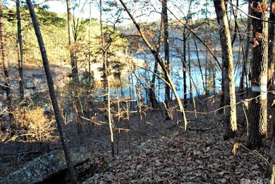 00 Lookout Dr, Tumbling Shoals, AR 72581 - photo 4