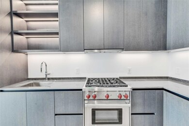 Kitchen with high end stainless steel range oven,