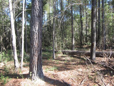 0 Highway 43, Oak Vale, MS 39656 - photo 7