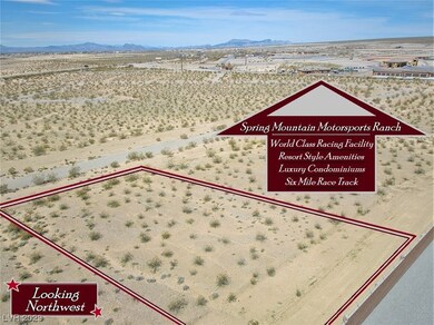3861 S Butterfield Ave, Pahrump, NV 89048 - photo 2
