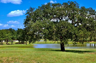 Community Lakes