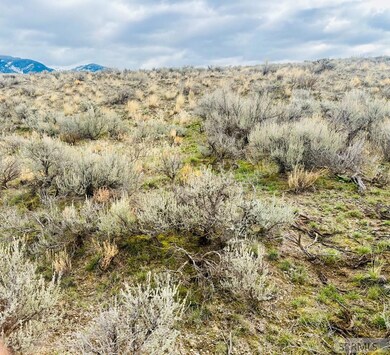 TBD Sagebrush Ave, Salmon, ID 83467 - photo 6