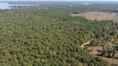 TBD Farm To Market Road 2457, Livingston, TX 77351 - photo 7