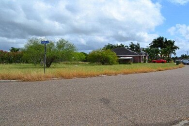 230 Caramel Dr, Alamo, TX 78516 - photo 3