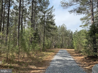 TBD 1 Covered Bridge Rd, Kents Store, VA 23084 - photo 4