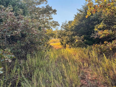 00011 E 1060 Rd, McLoud, OK 74851 - photo 6