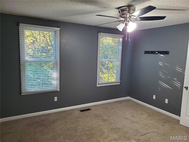 3256 Domain St, Saint Charles, MO 63301 - photo 7