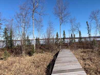 Boardwalk to lake