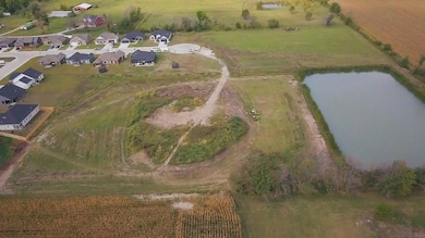 137 N Hickman St, Centralia, MO 65240 - photo 6