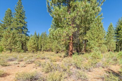 11272 Wolverine Cir, Truckee, CA 96161 - photo 6
