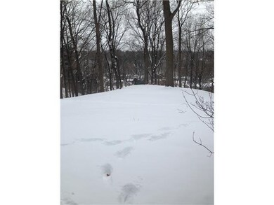 Yard/Garden