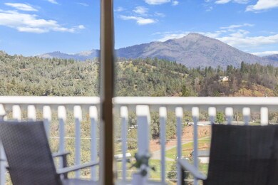 Views from the Deck
