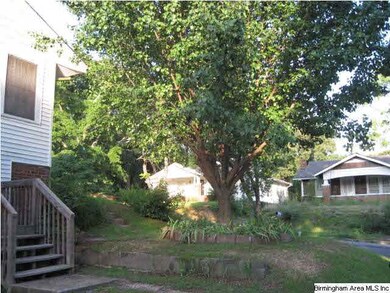 Another view of the backyard!