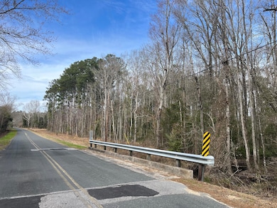 0 Burlington Rd, Walterboro, SC 29488 - photo 2