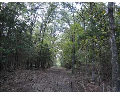 288 Sulphur City Rd, Fayetteville, AR 72701 - photo 4