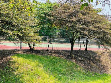 Tennis Anyone?
