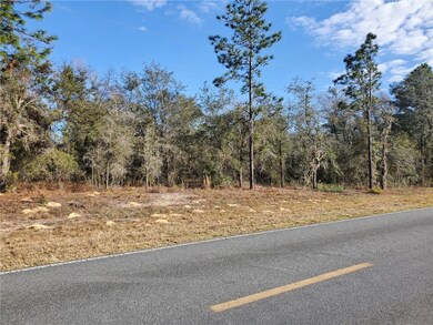 0 SE 30th St unit OM613989, Morriston, FL 32668 - photo 6