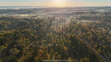 TBD Rodney Rd, Port Gibson, MS 39150 - photo 4