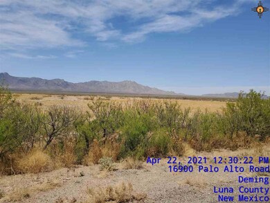 00 Avenura Rd SE, Deming, NM 88030 - photo 3