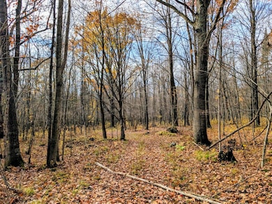 W N 20 School Rd, Glen Flora, WI 54526 - photo 7