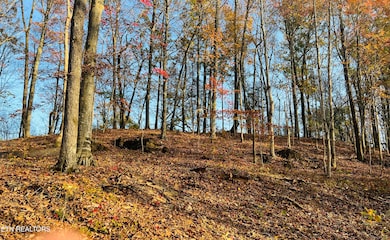 Facing South