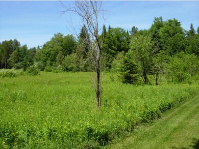 Lot 14 A Crescent Beach Extension, Morgan, VT 05853 - photo 2