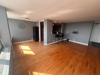 unlisted-address, Chicago, IL 60613 - photo 6