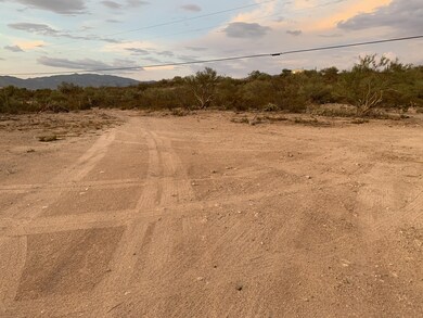IMG-7954 (1)