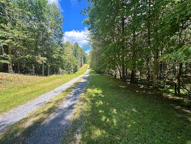 0 Muddy Creek Mountain Rd, Lewisburg, WV 24901 - photo 2