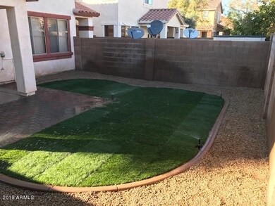 back yard