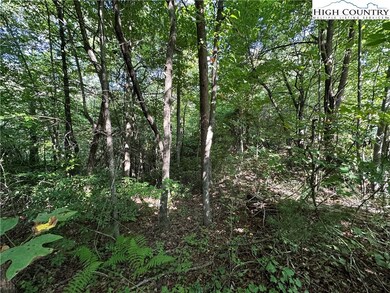 Lot 15C Cielo Ridge Way, Purlear, NC 28665 - photo 5