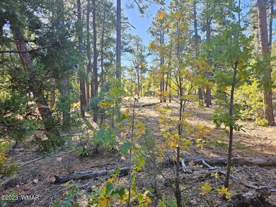 3251 W Sage Lane, Show Low, AZ 85901
