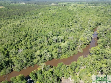 Lot 20 the River Landing Rd, Midville, GA 30441 - photo 3