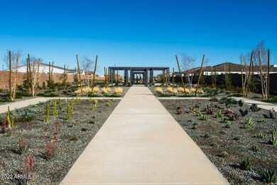 Canopy Amenities