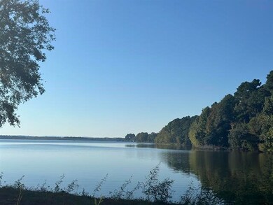 Lot 111 Oak River, Frankston, TX 75763 - photo 3