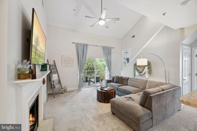 11314 Westbrook Mill Ln unit 303, Fairfax, VA 22030 - photo 2