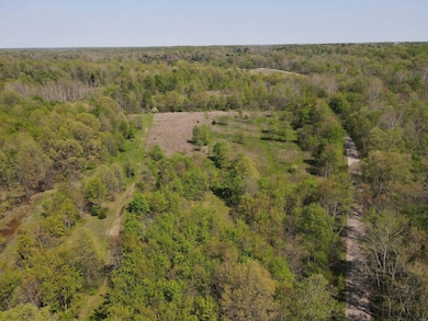 12444 E Lark Rd, Nevins Township, IN 47874 - photo 2